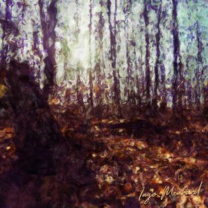 Sonnenschein im Wald Kunstwerk