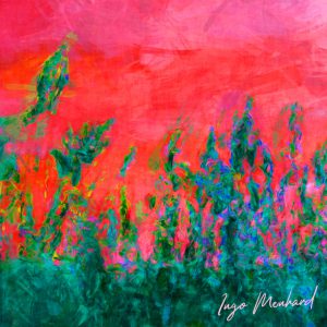 Feuer im Feld Kunstwerk