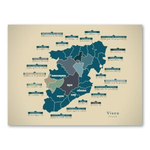 Viseu Karte (Portugal) - Moderne Landkarte - Wandbild Kunstdruck Poster Map
